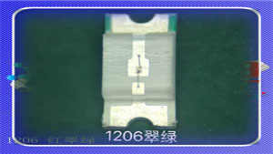 1206-红翠绿