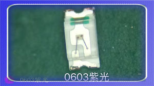 0603紫灯.jpg