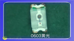 0603黄.jpg
